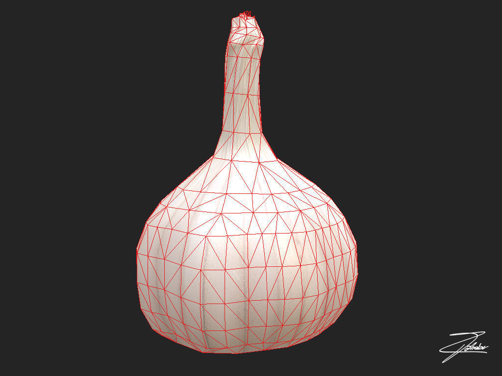 Garlic Low-poly 3D model_5
