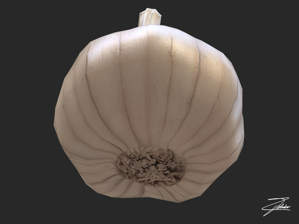 Garlic Low-poly 3D model_3