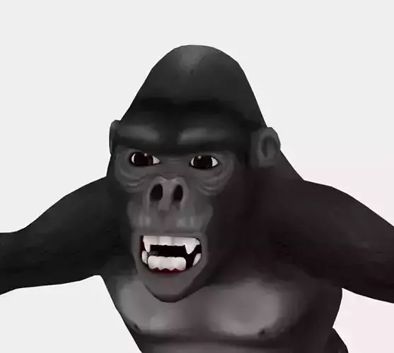 Gorilla cartoon
