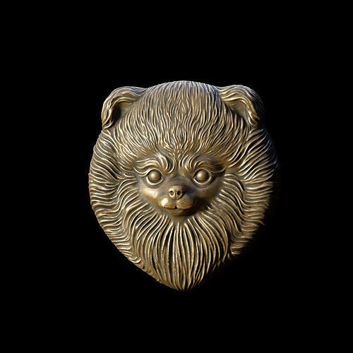 Pomeranian head 3D print model