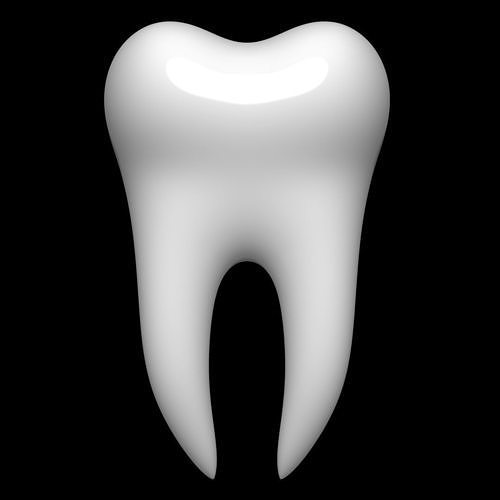 Tooth 3D model