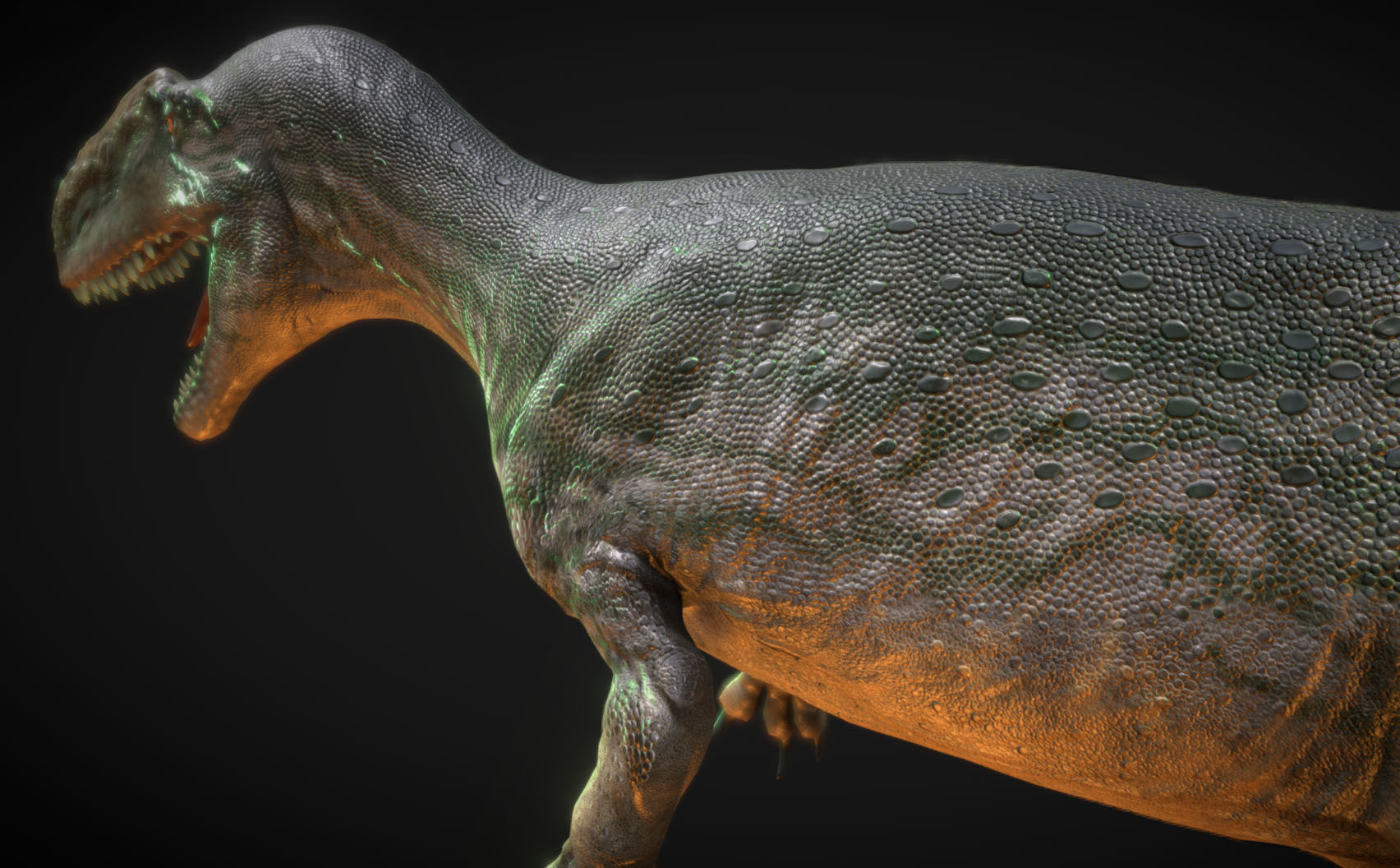 Dinosaur Monolophosaurus Low-poly 3D model_5