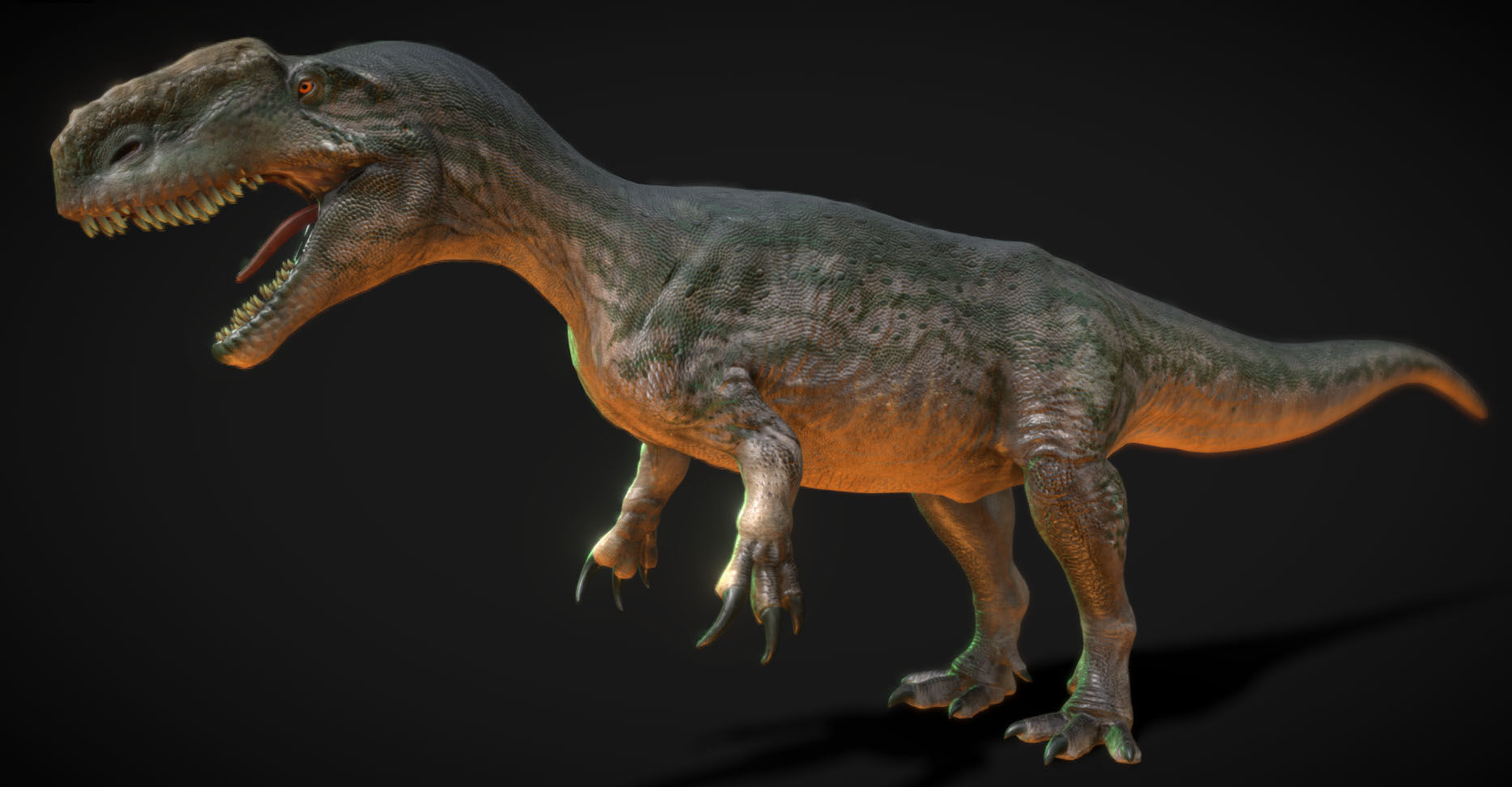 Dinosaur Monolophosaurus Low-poly 3D model_6