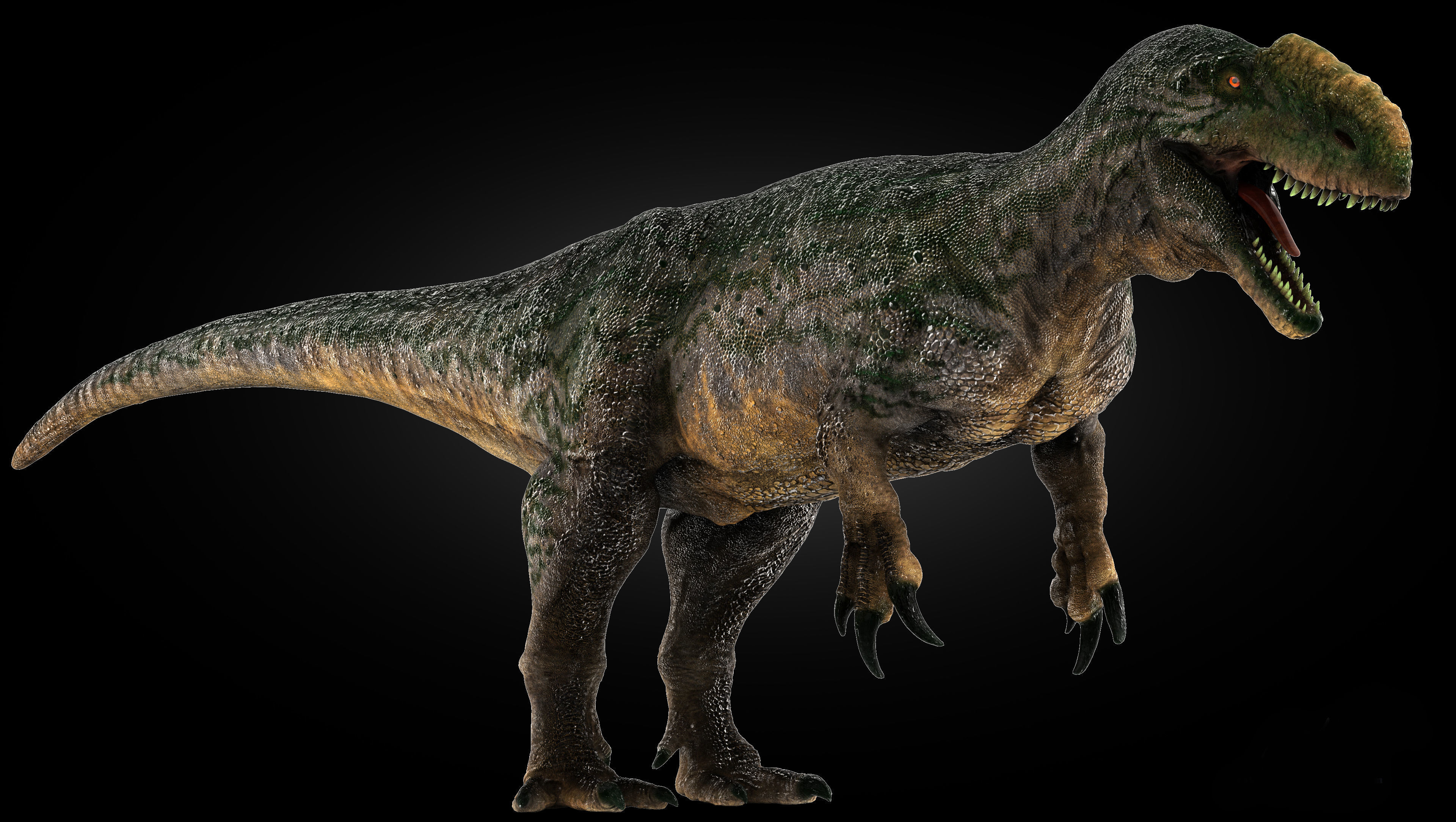 Dinosaur Monolophosaurus Low-poly 3D model_3
