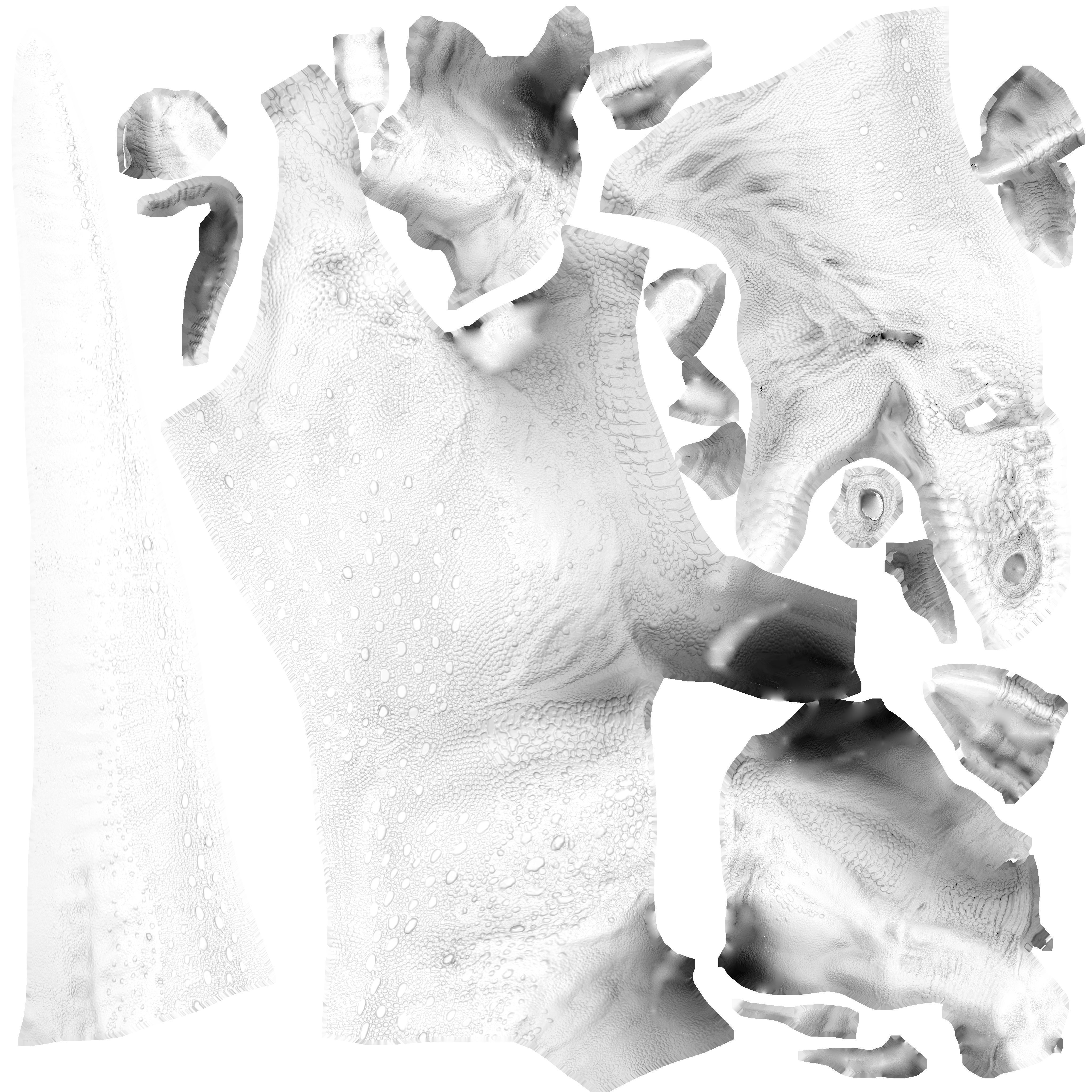 Dinosaur Monolophosaurus Low-poly 3D model_10