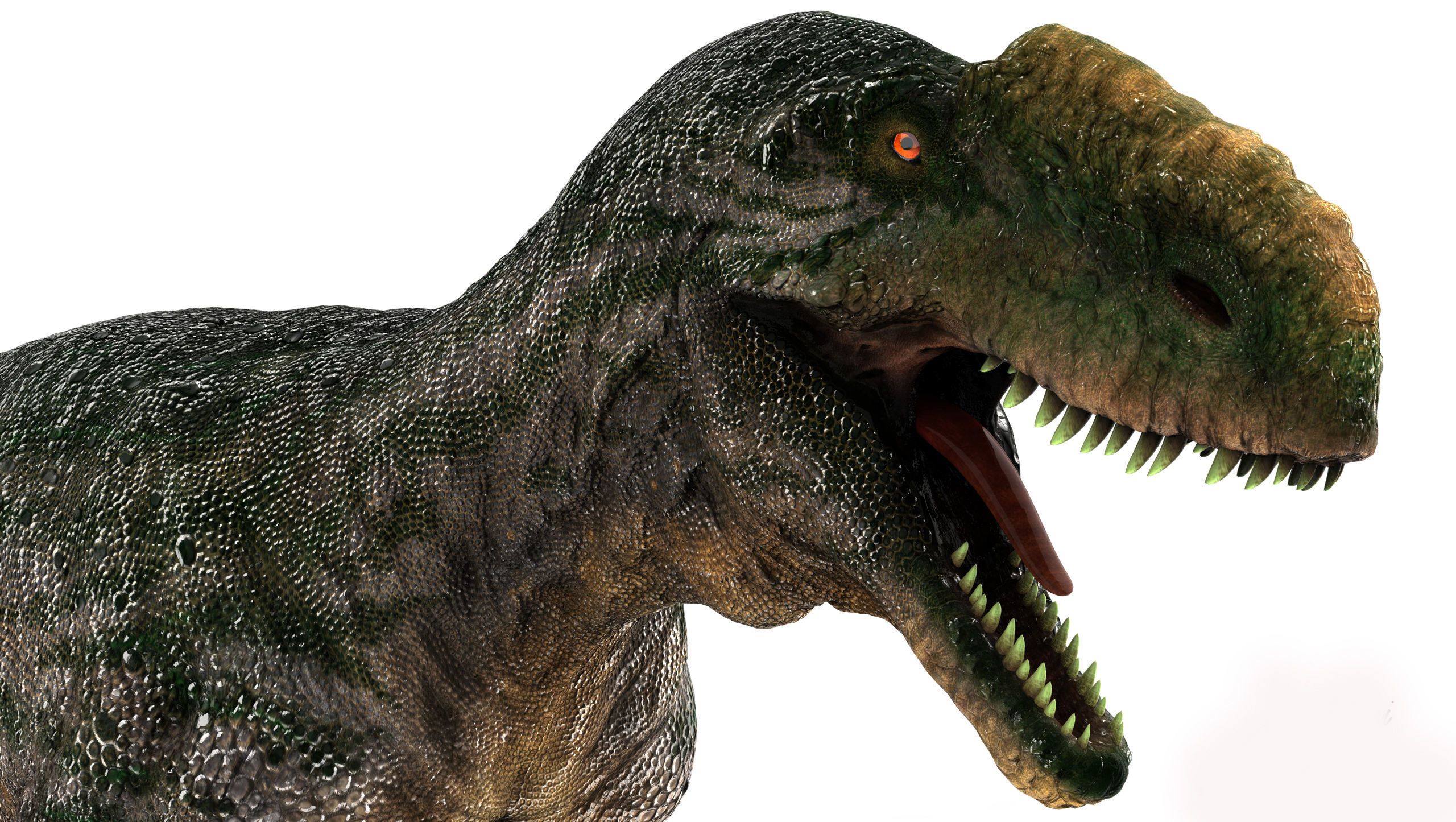 Dinosaur Monolophosaurus Low-poly 3D model_9