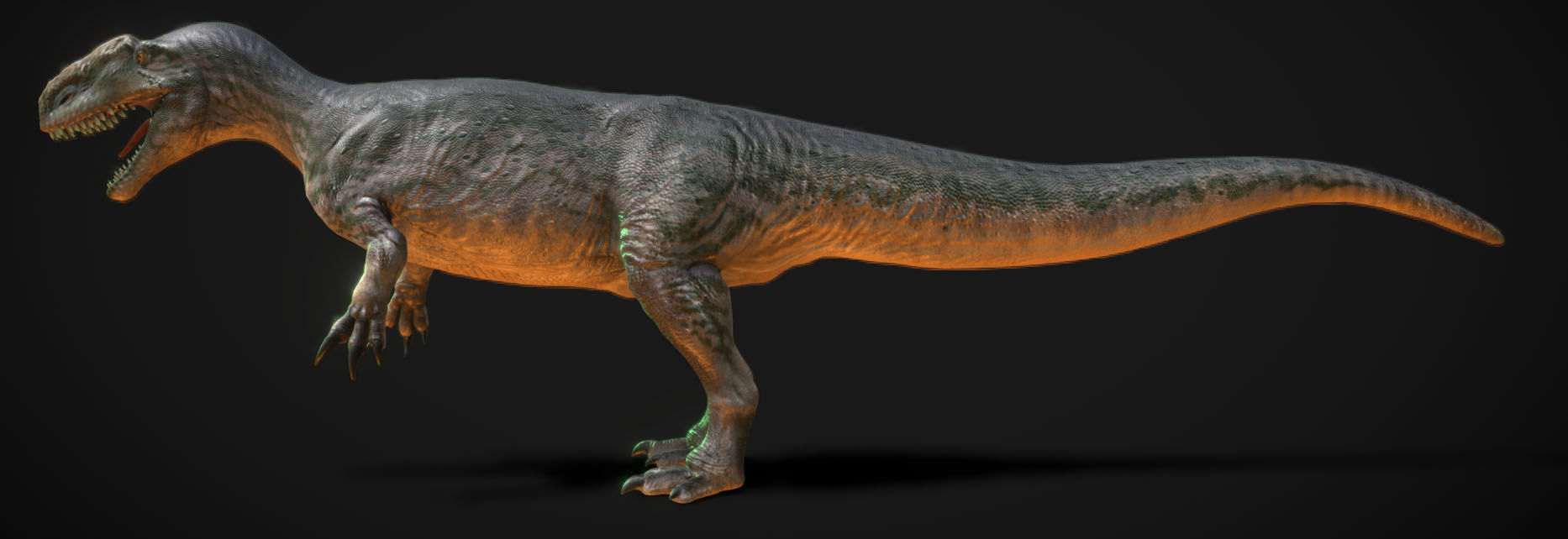 Dinosaur Monolophosaurus Low-poly 3D model_4