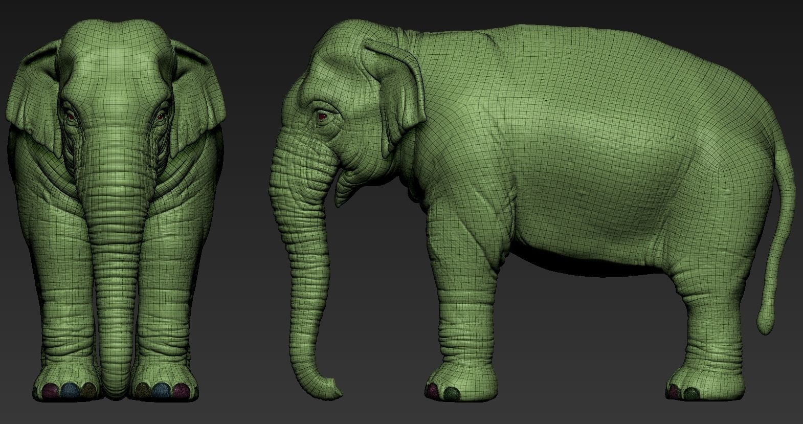 Elephant asian 3D print model_15