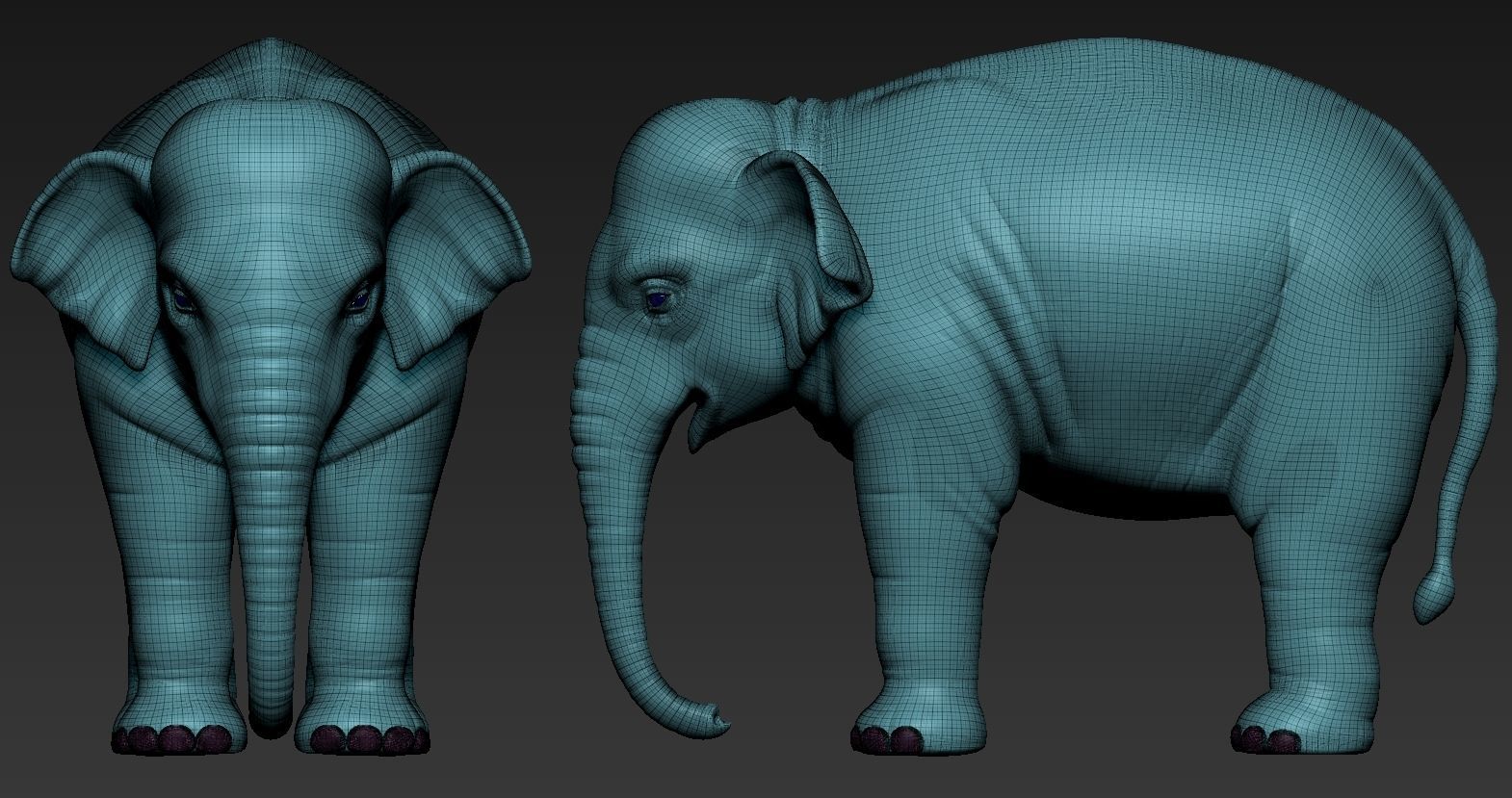 Elephant asian 3D print model_9