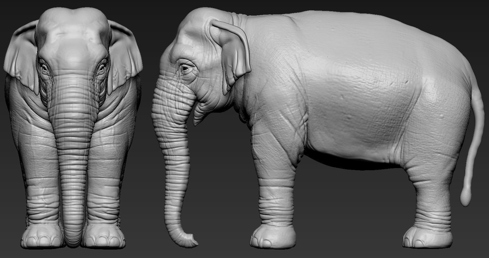 Elephant asian 3D print model_11