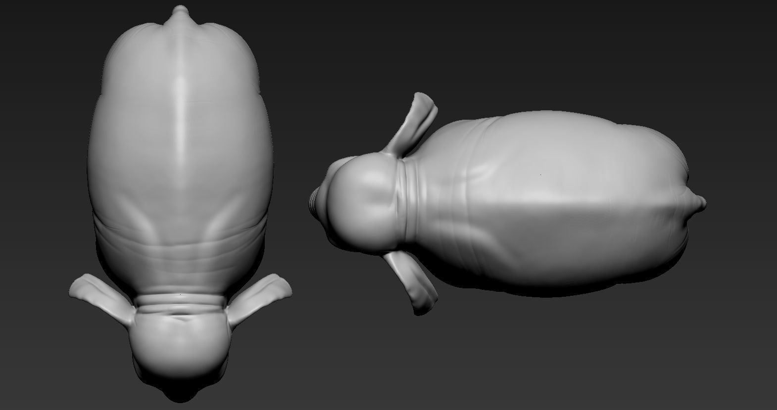 Elephant asian 3D print model_6