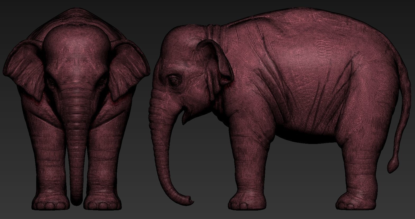 Elephant asian 3D print model_10