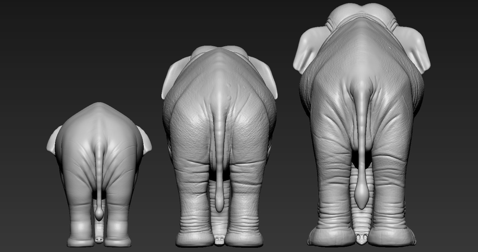 Elephant asian 3D print model_3
