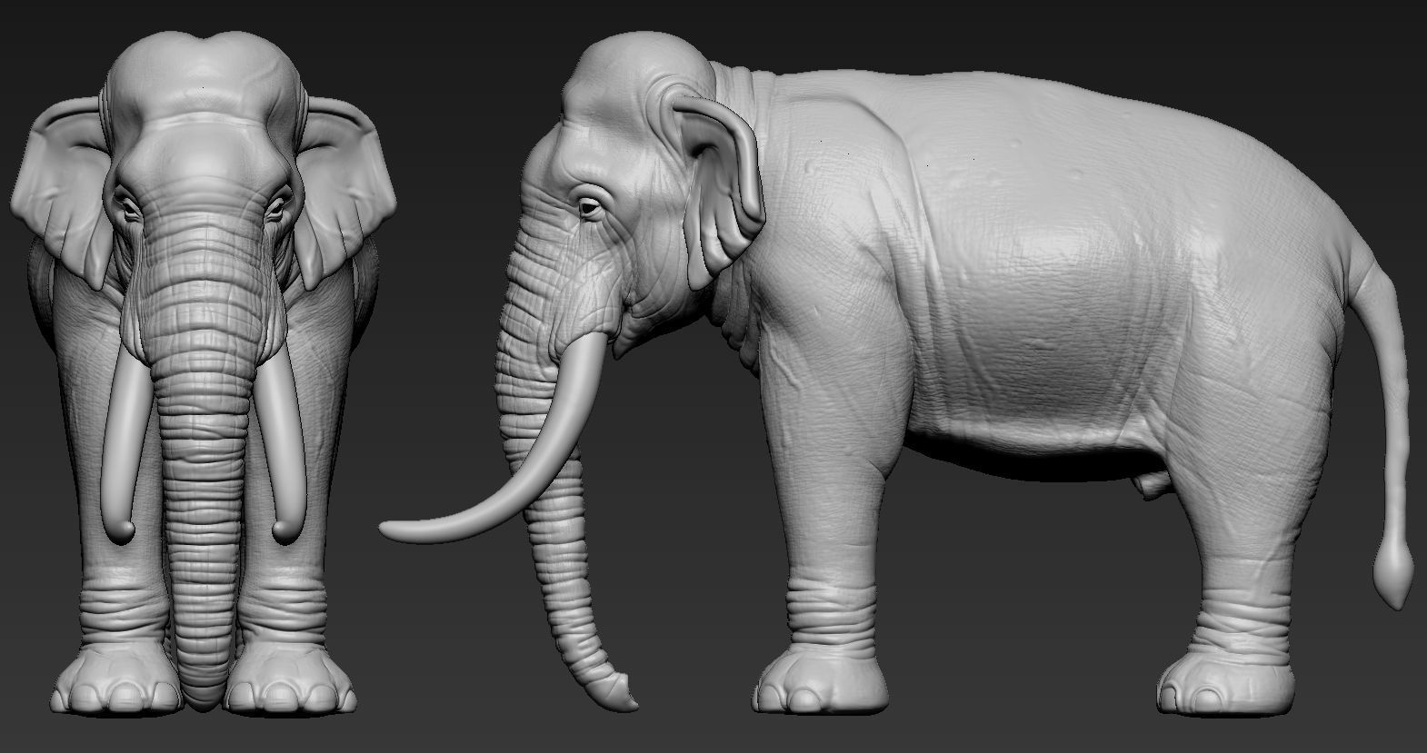 Elephant asian 3D print model_17