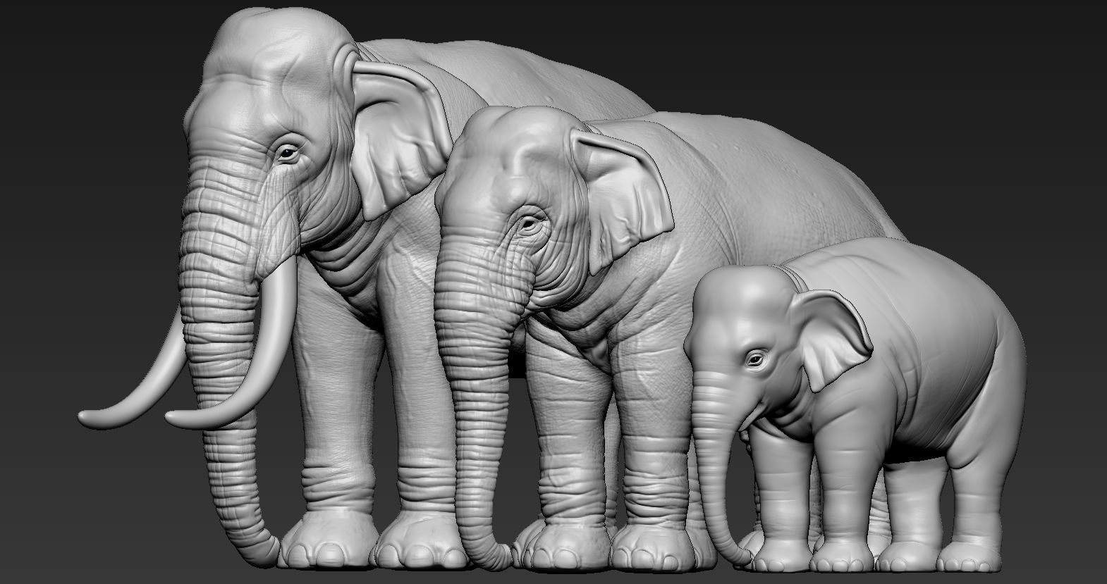 Elephant asian 3D print model_2