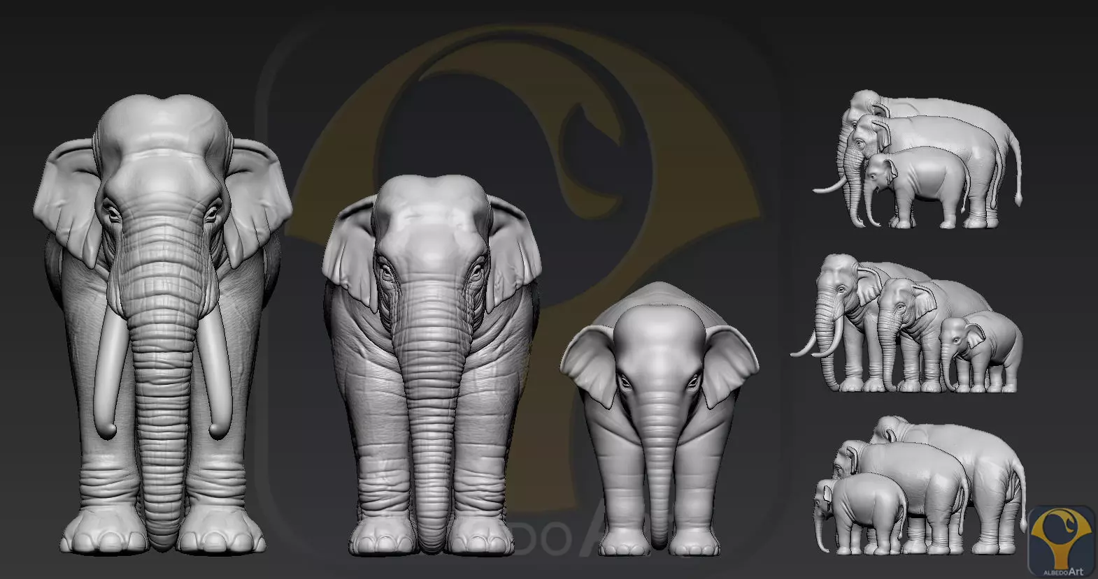 Elephant asian 3D print model_0