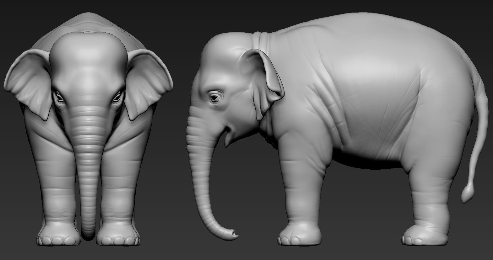 Elephant asian 3D print model_5