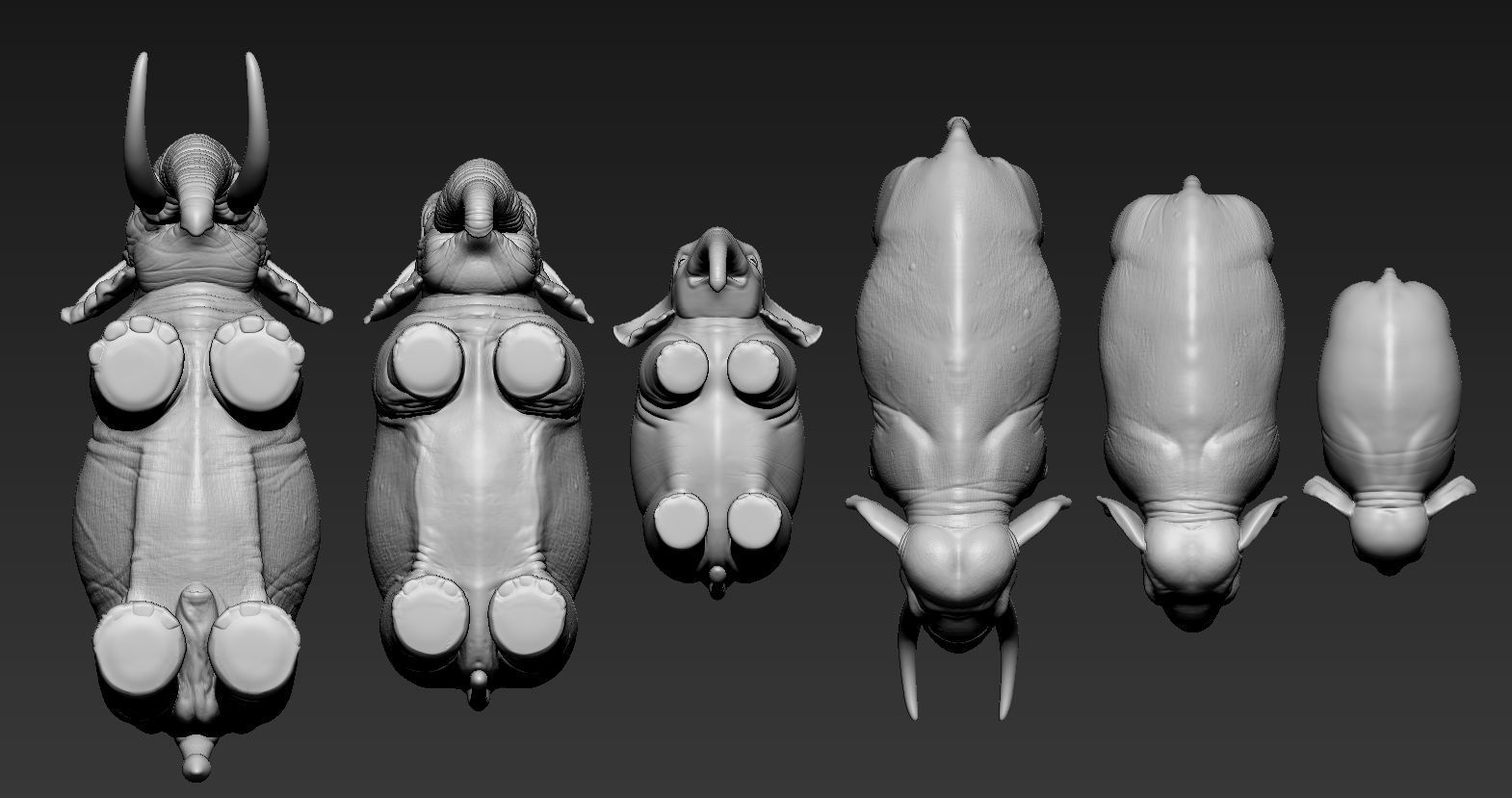 Elephant asian 3D print model_4