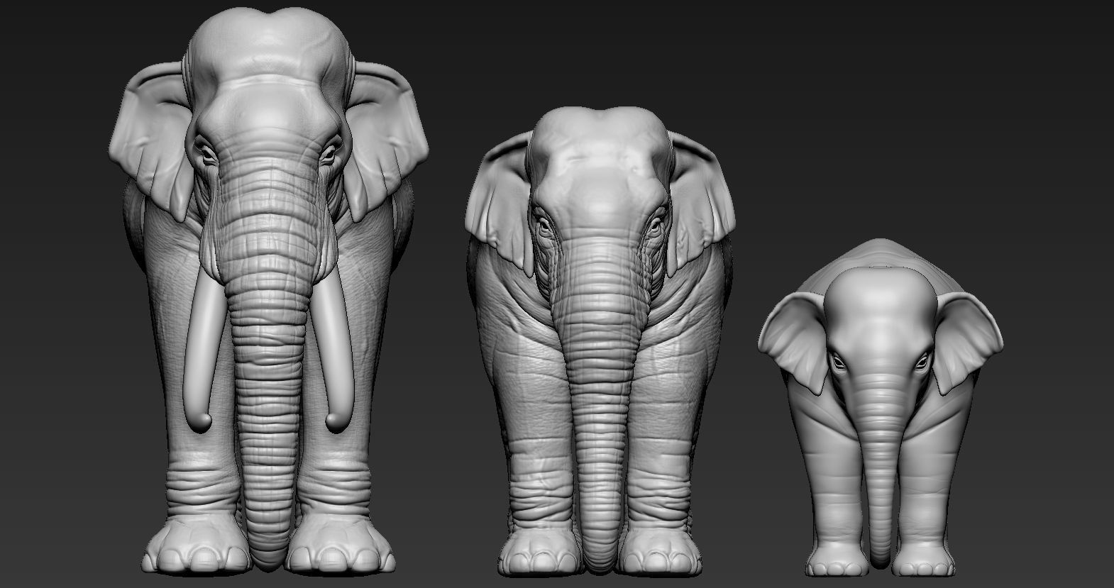 Elephant asian 3D print model_1
