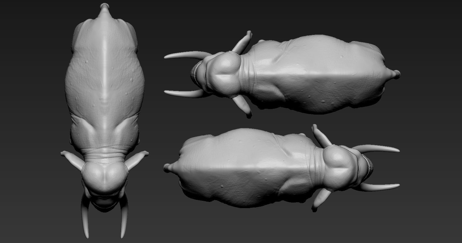 Elephant asian 3D print model_19