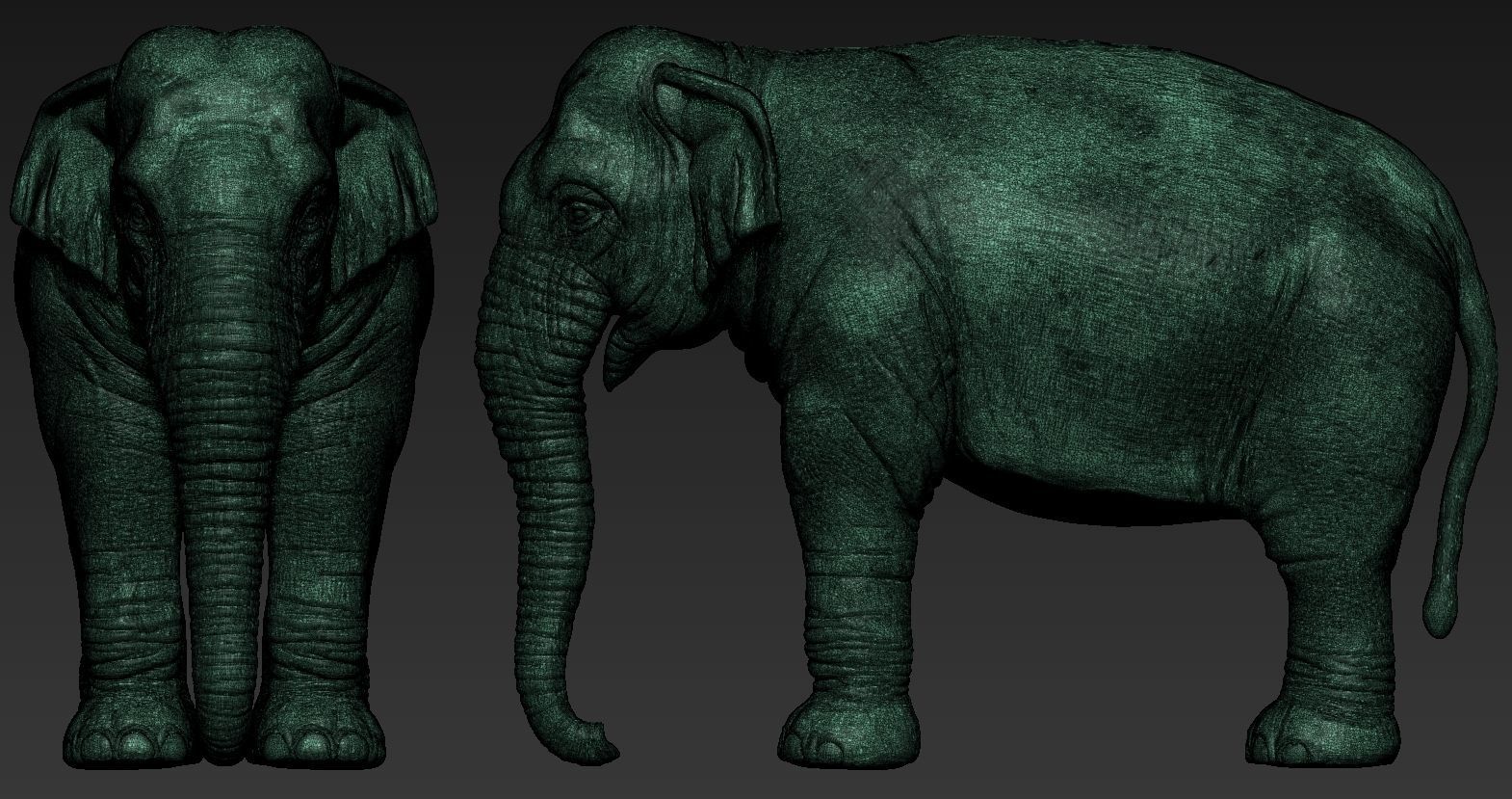 Elephant asian 3D print model_16