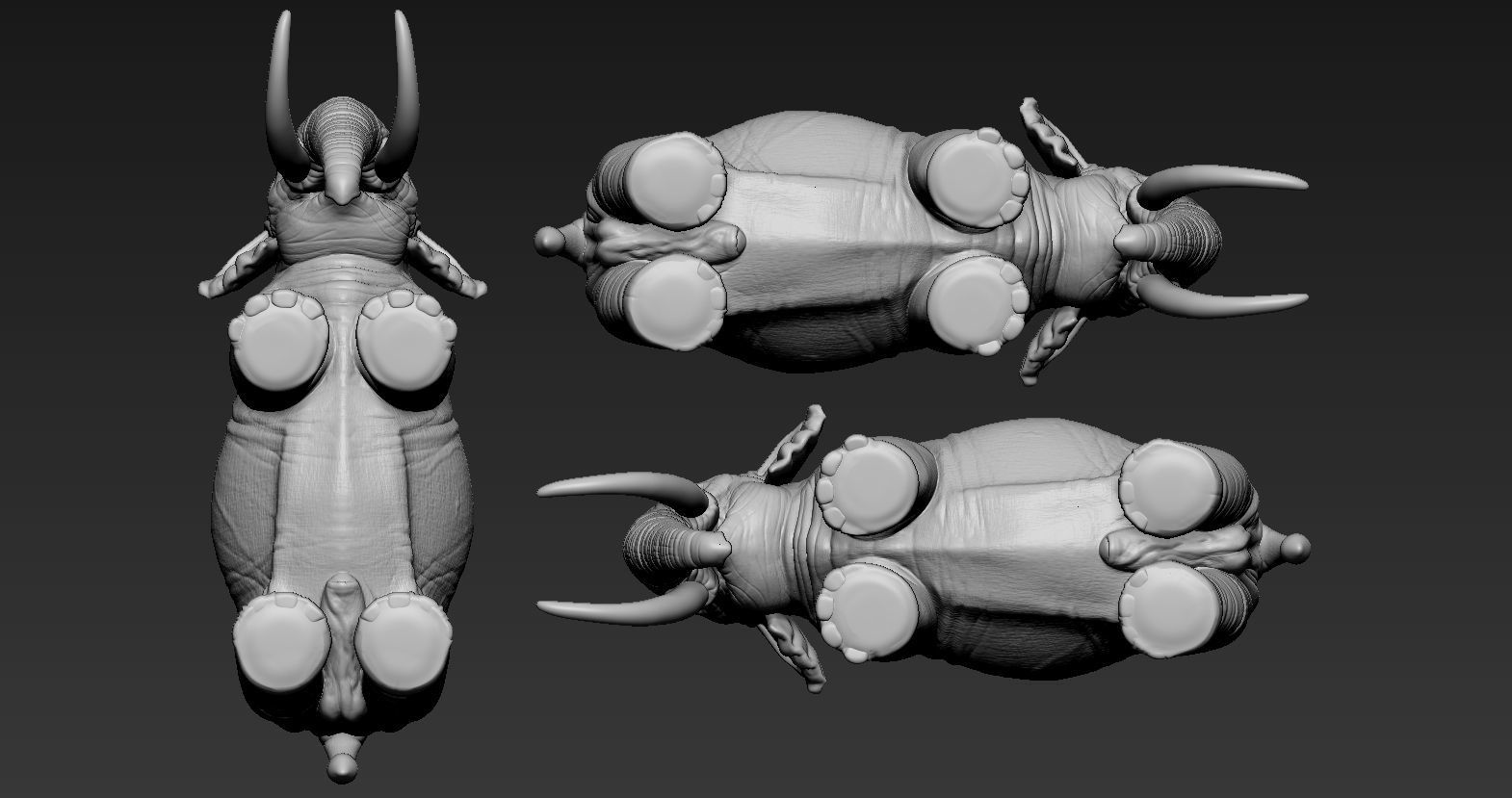 Elephant asian 3D print model_20