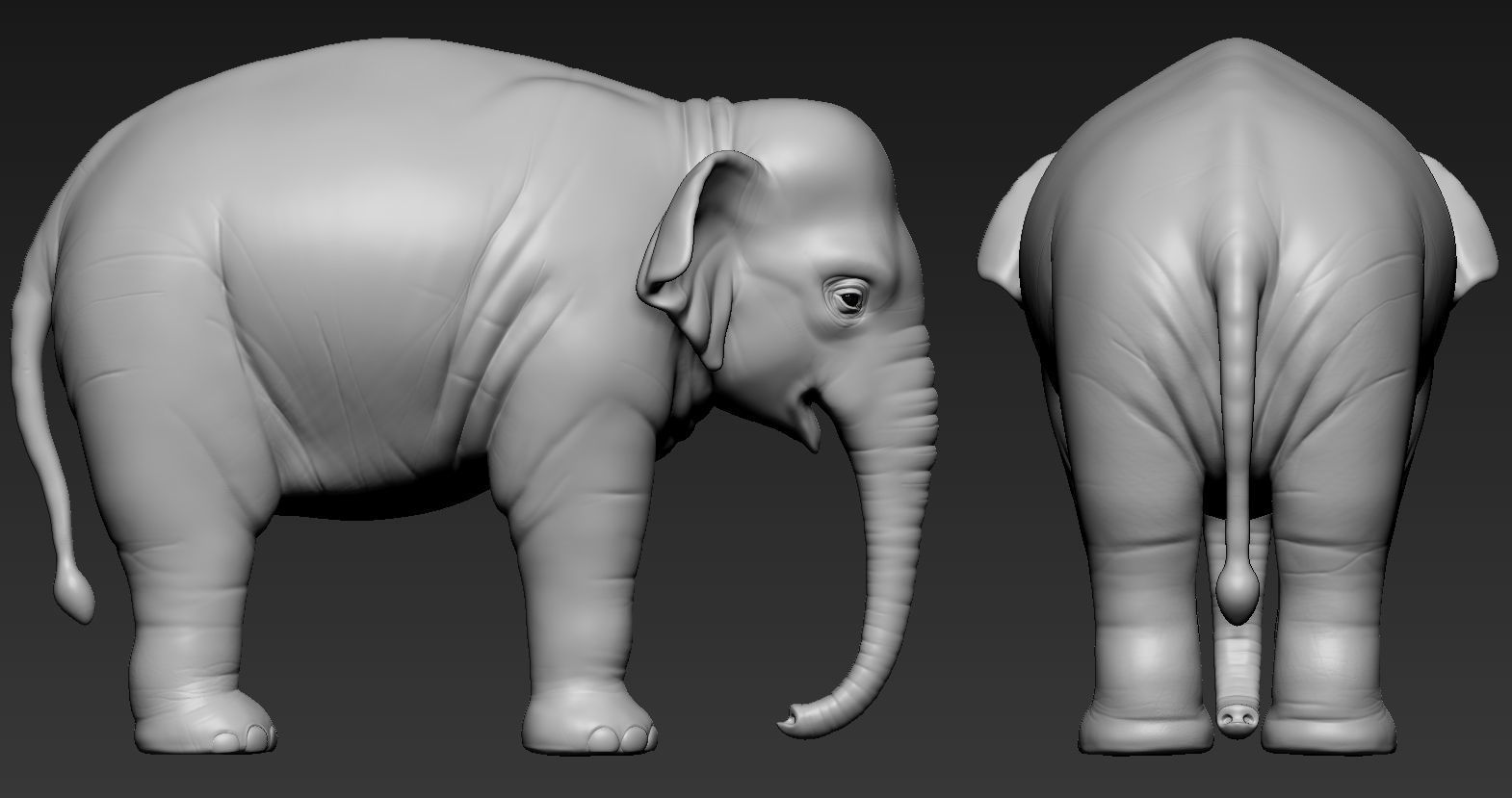 Elephant asian 3D print model_8