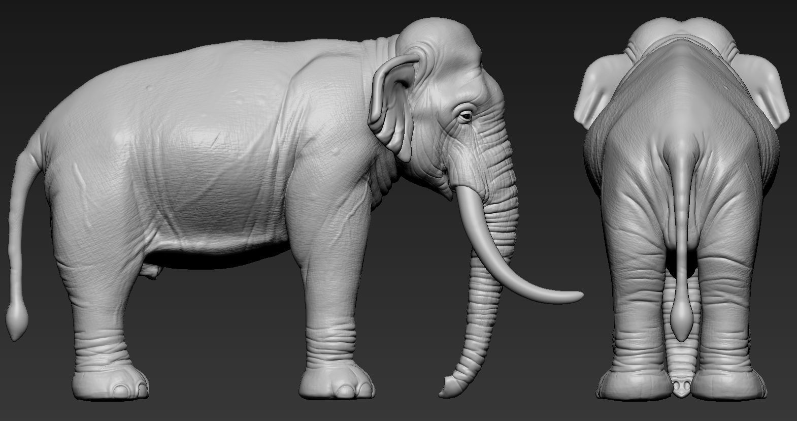 Elephant asian 3D print model_18