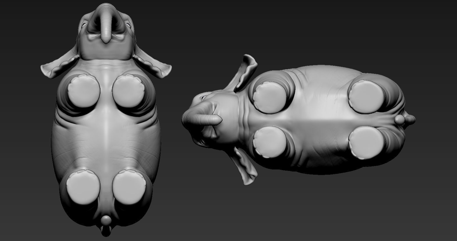 Elephant asian 3D print model_7