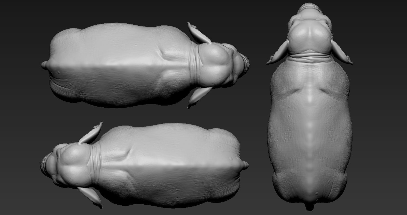 Elephant asian 3D print model_14