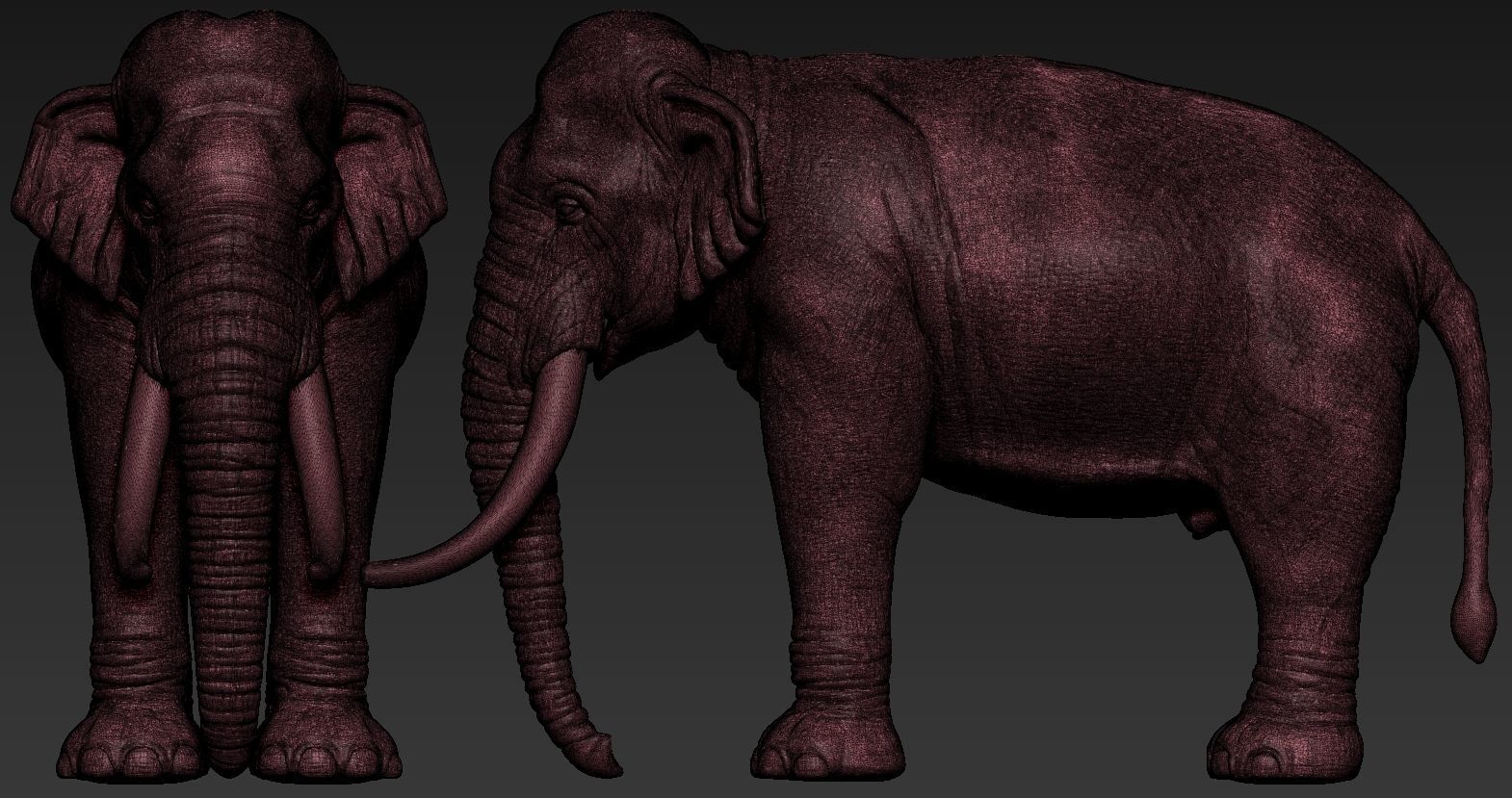Elephant asian 3D print model_22