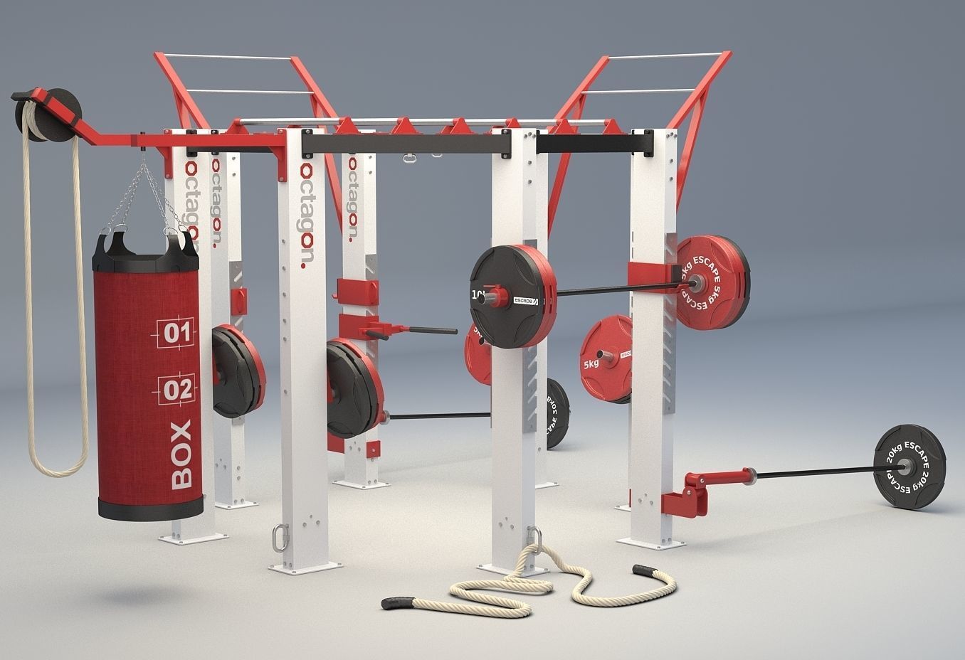 3D Escape Fitness Octagon Training Frames Workout