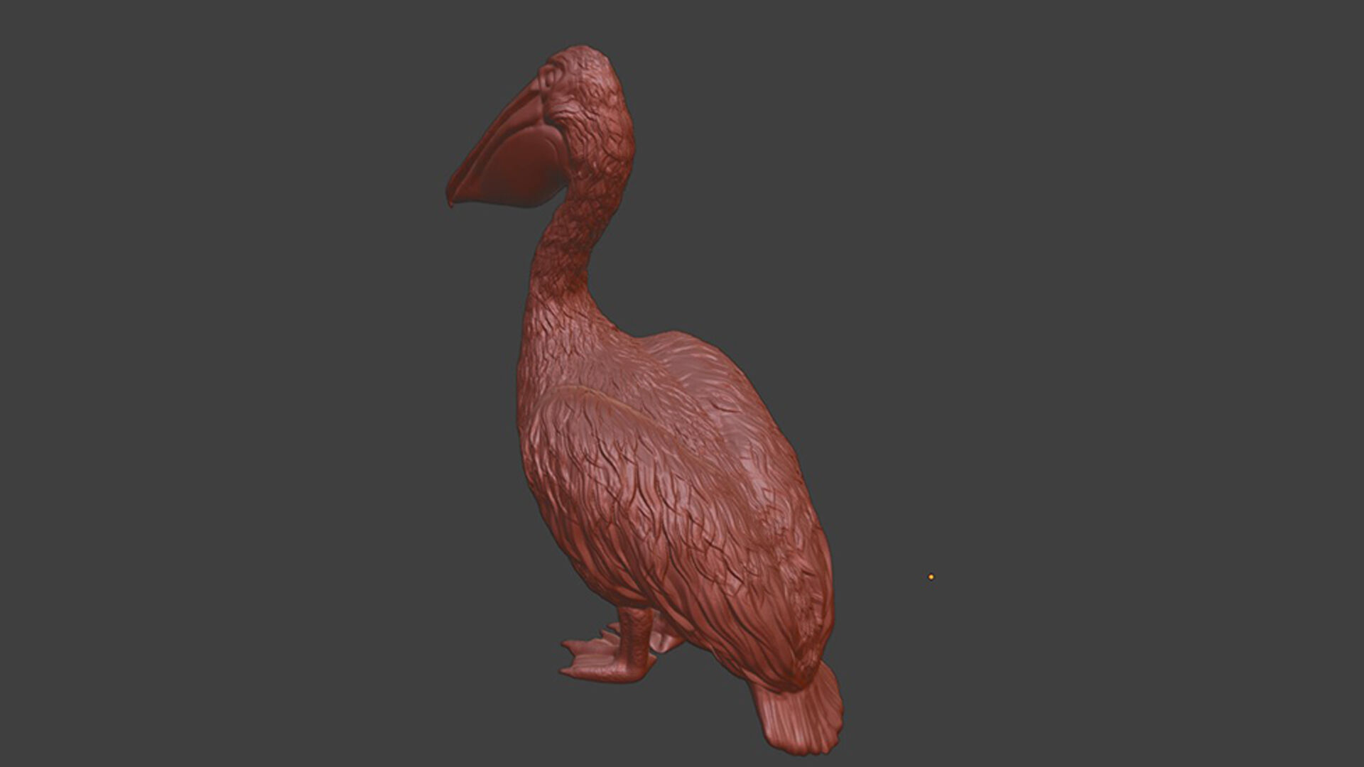 Realistic Pelican Bird 3D print model_6