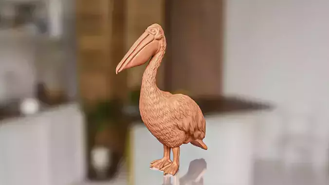 Realistic Pelican Bird