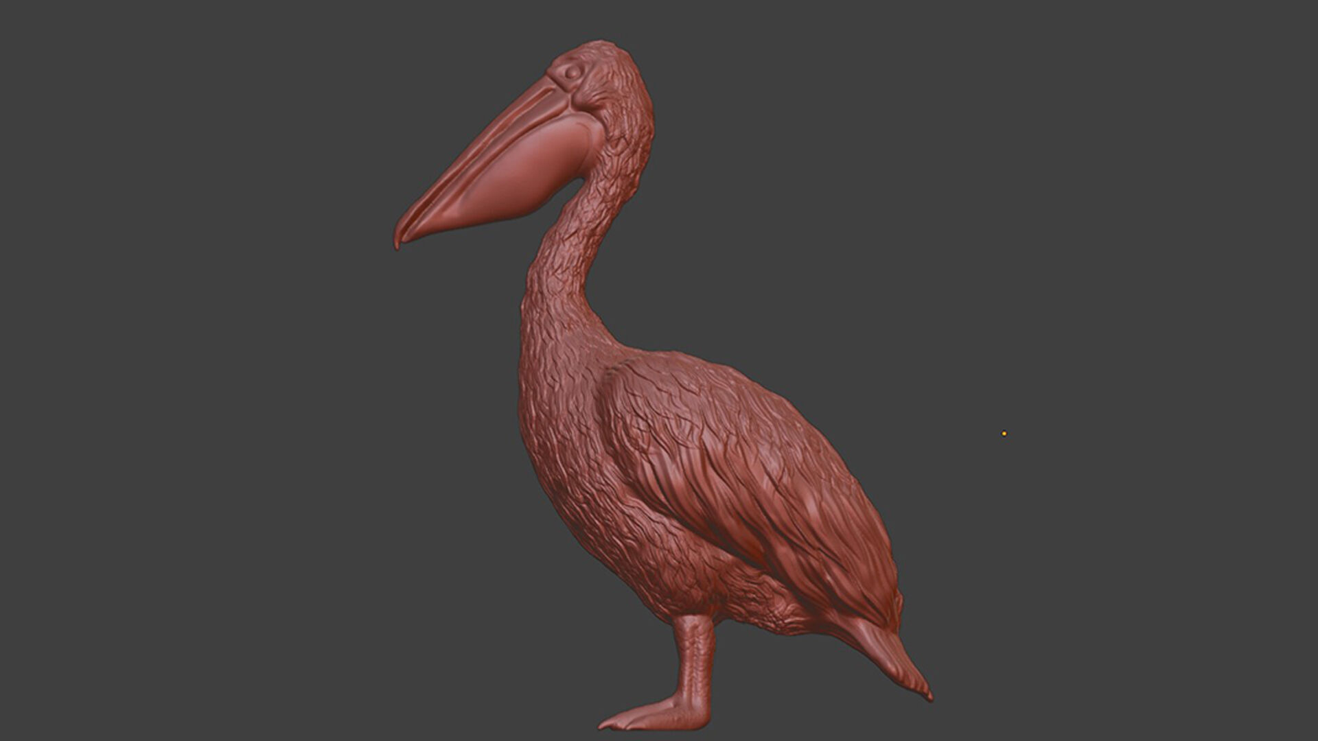 Realistic Pelican Bird 3D print model_7