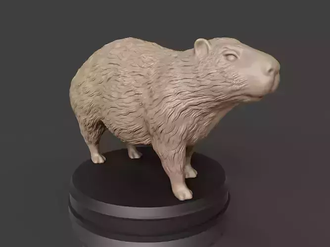Furry Capybara 3D print model