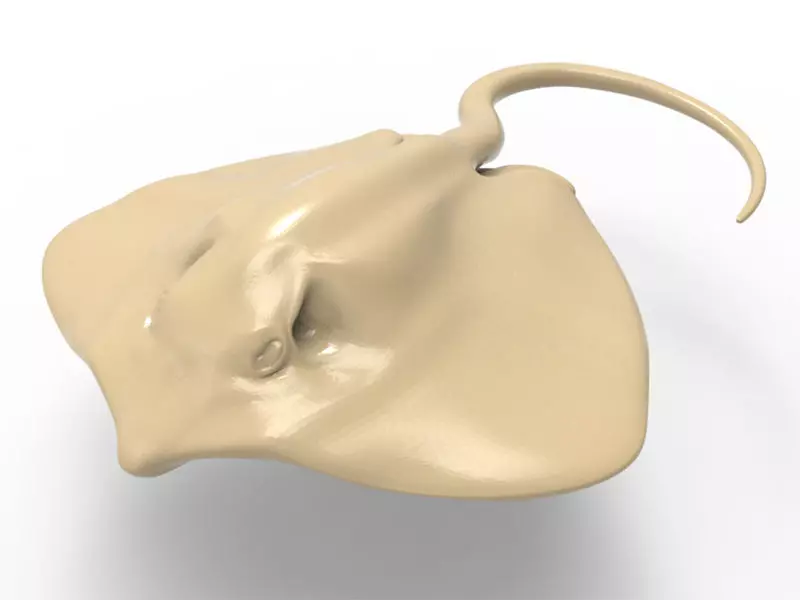 Stingray printable 3D print model