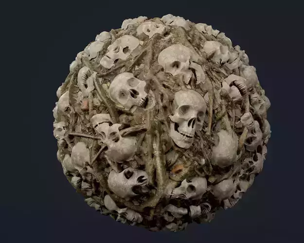 Skulls Bones Seamless PBR Texture 21