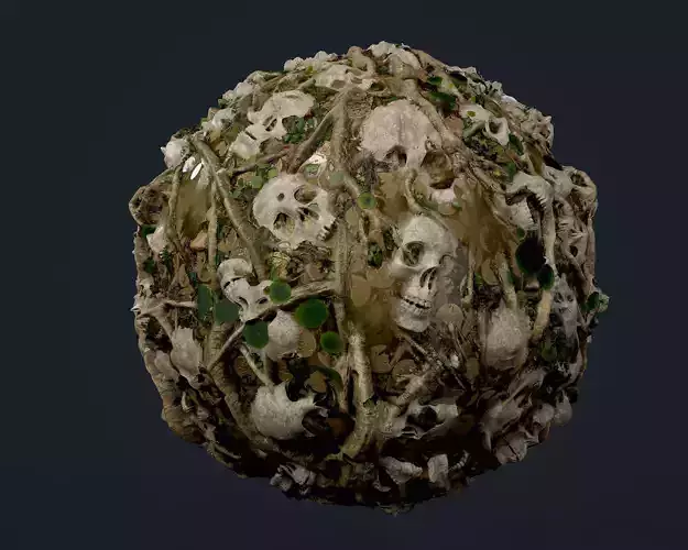 Skulls Bones Seamless PBR Texture 24 Texture
