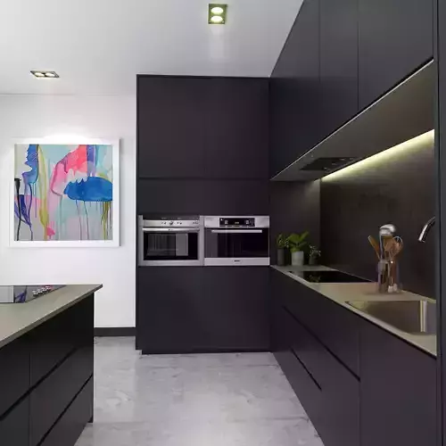 Kitchen with Black Color