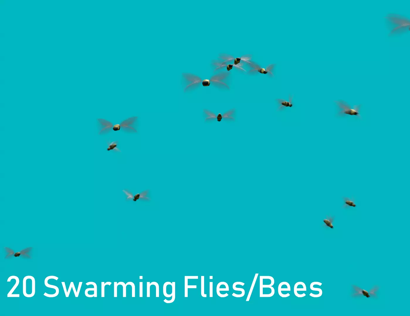 Low Poly Background Flies and Bees Animated Low-poly 3D model_0
