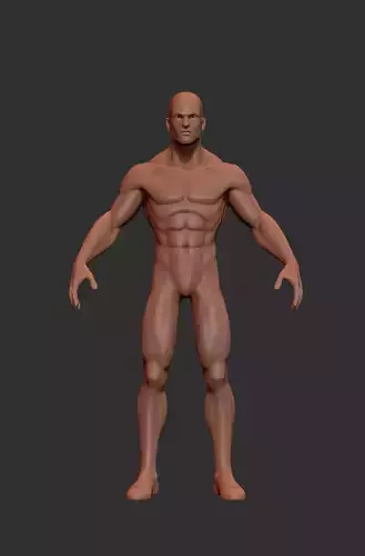 Hero Stylized Basemesh  Low-poly 3D model