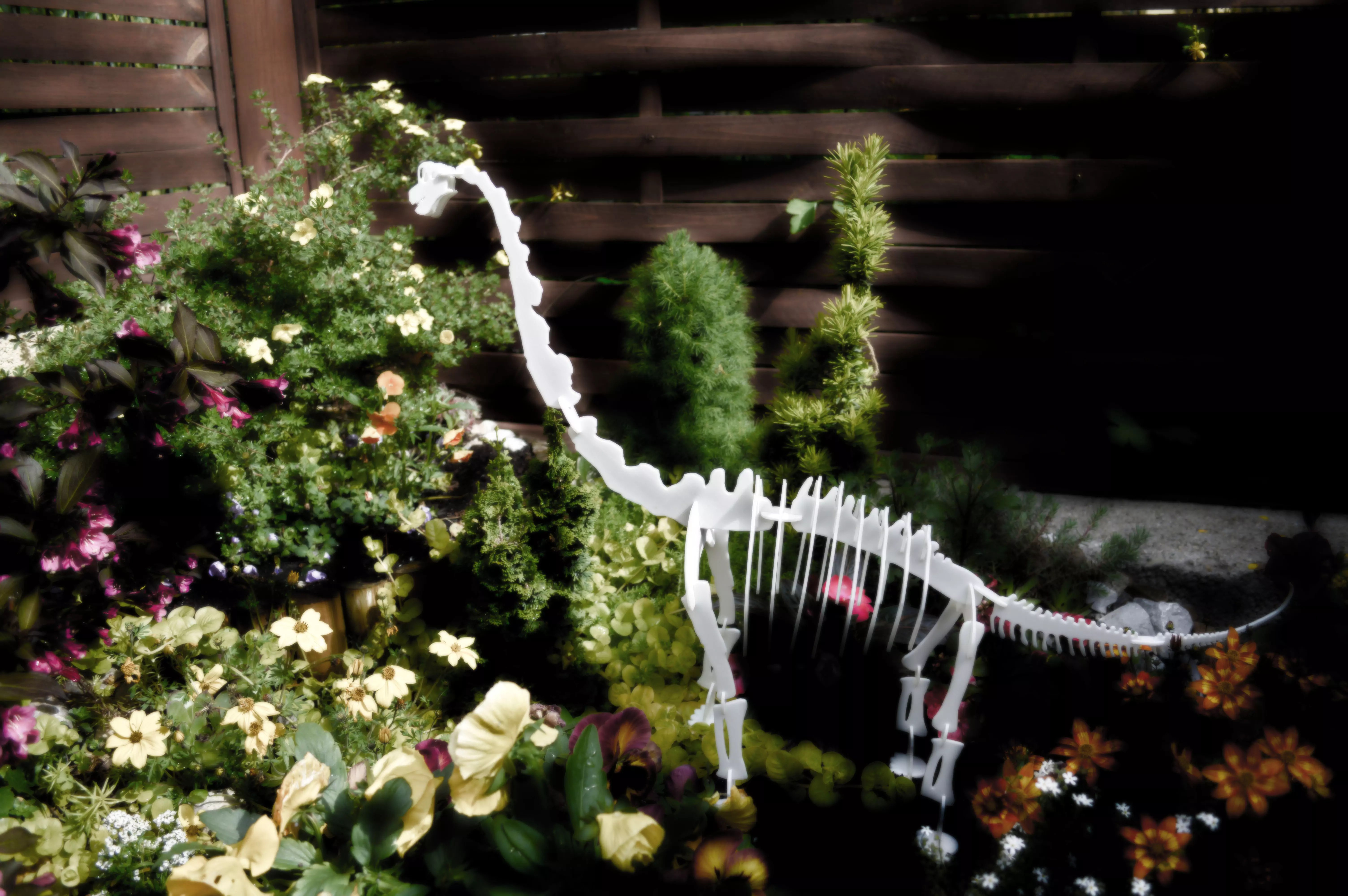 Brachiosaurus 3D Puzzle 3D print model_0