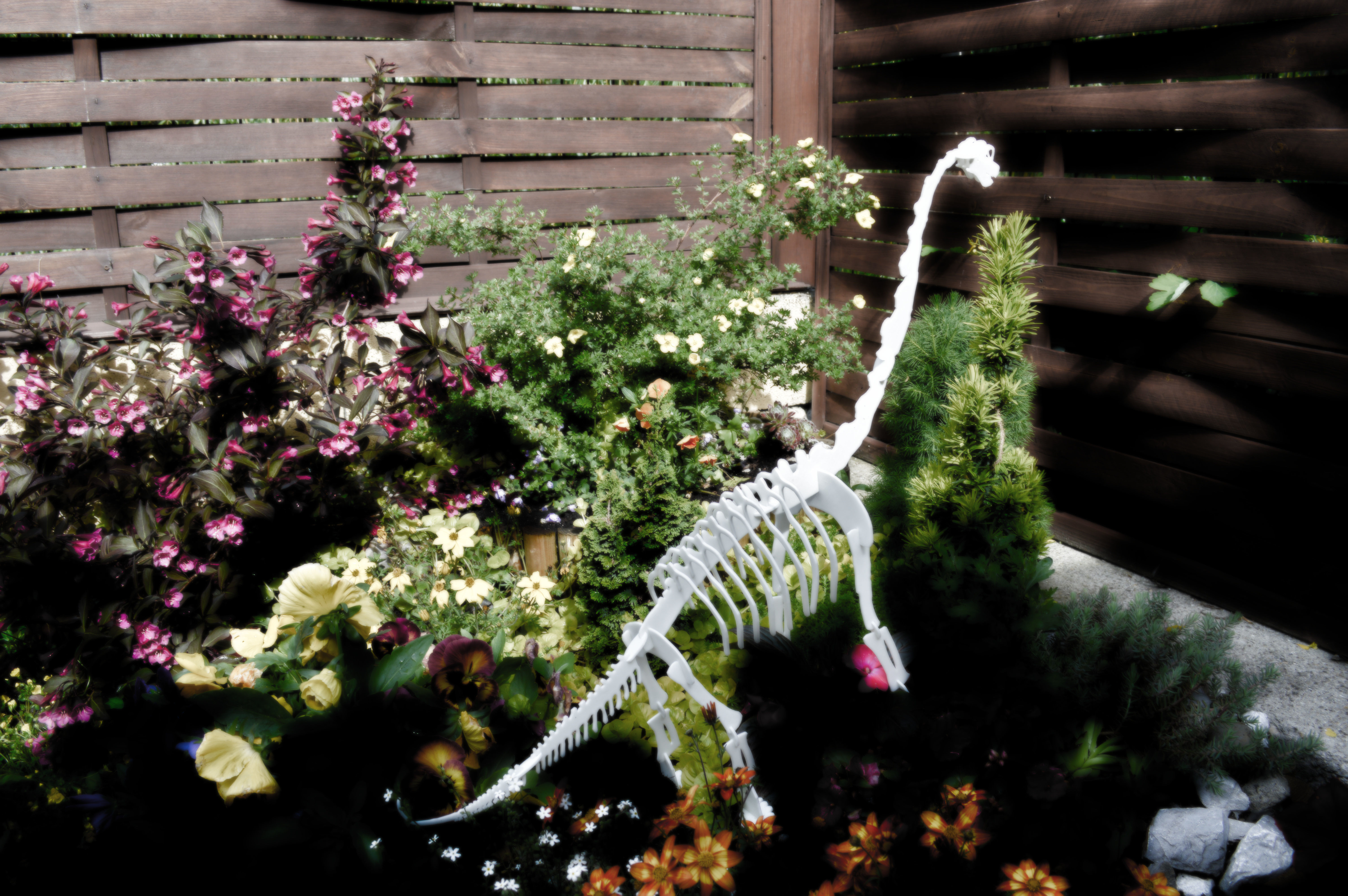 Brachiosaurus 3D Puzzle 3D print model_1