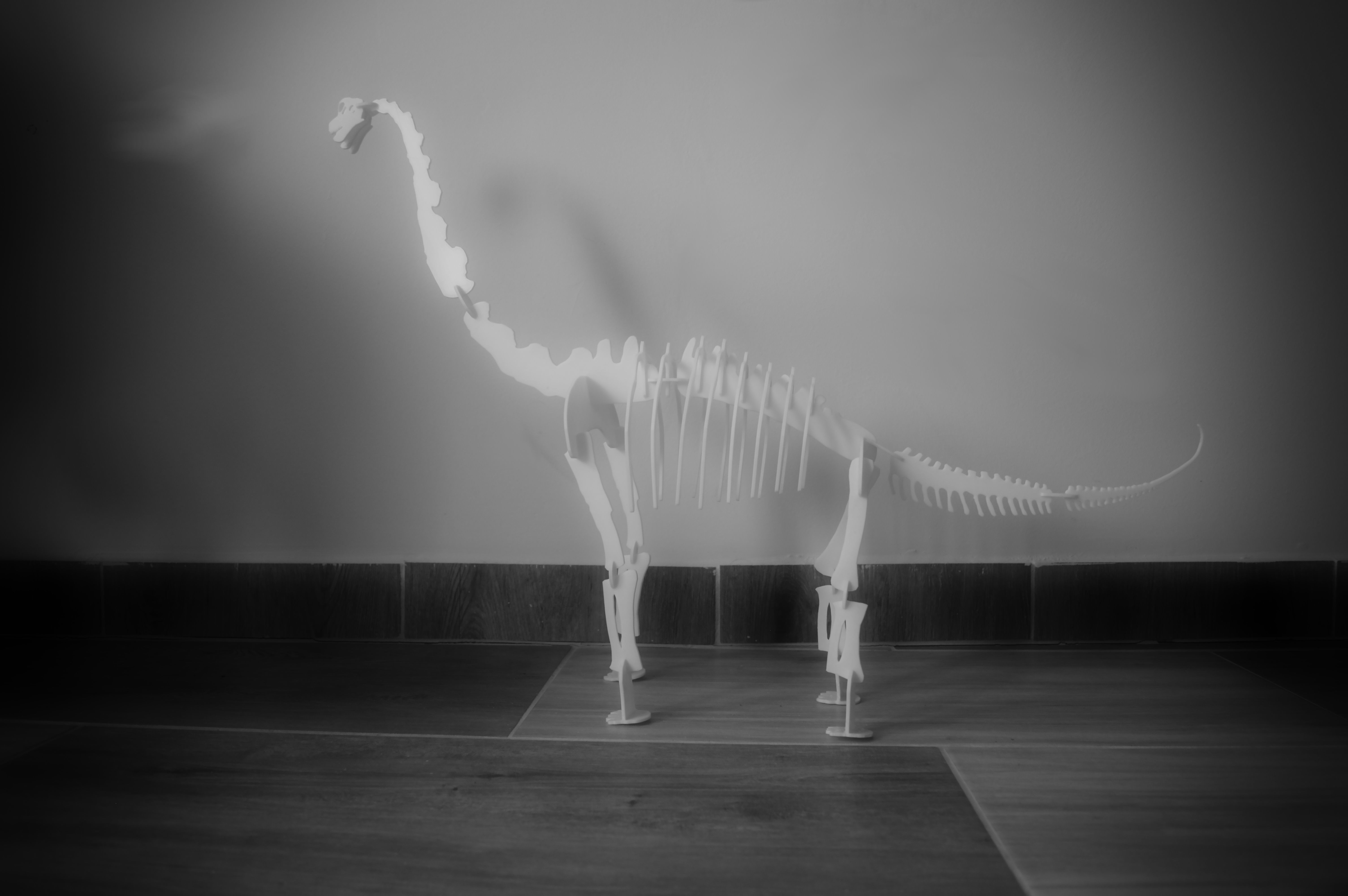 Brachiosaurus 3D Puzzle 3D print model_2
