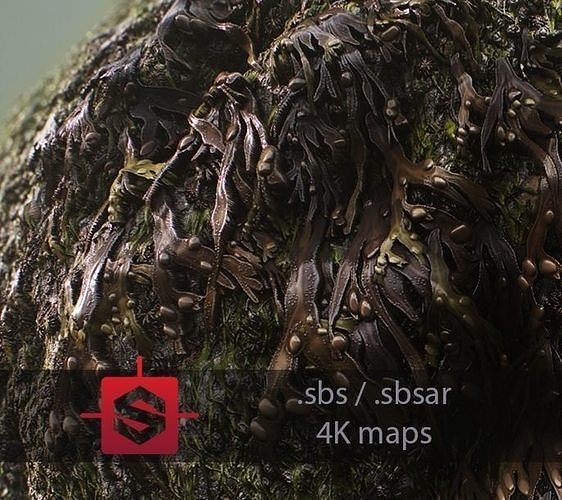 Seaweeds On Rock Tileable PBR Material Texture