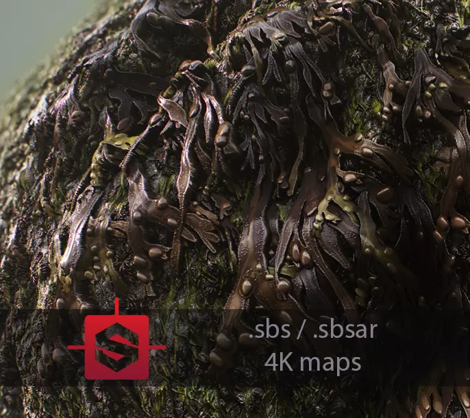 Seaweeds On Rock Tileable PBR Material Texture_0