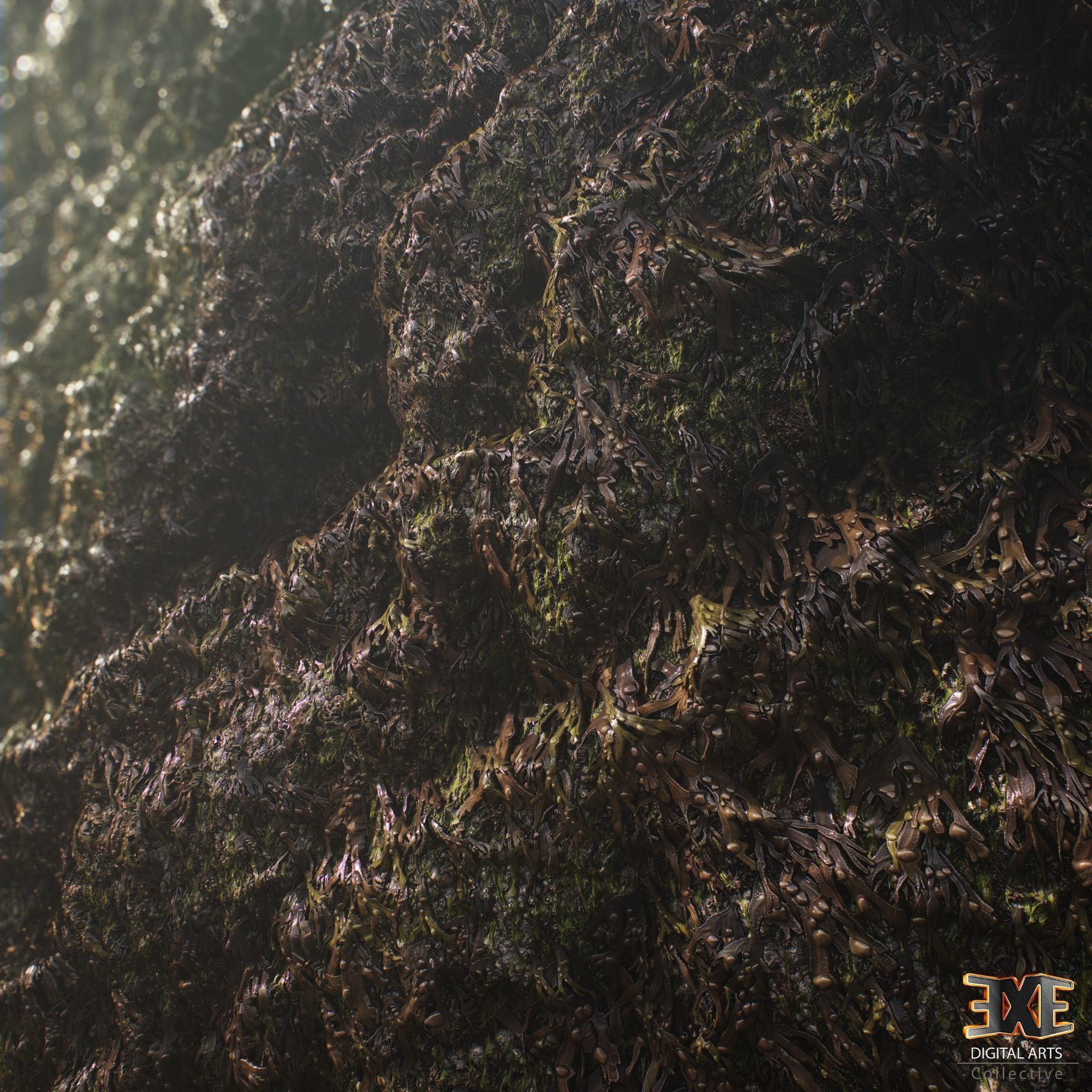 Seaweeds On Rock Tileable PBR Material Texture_4
