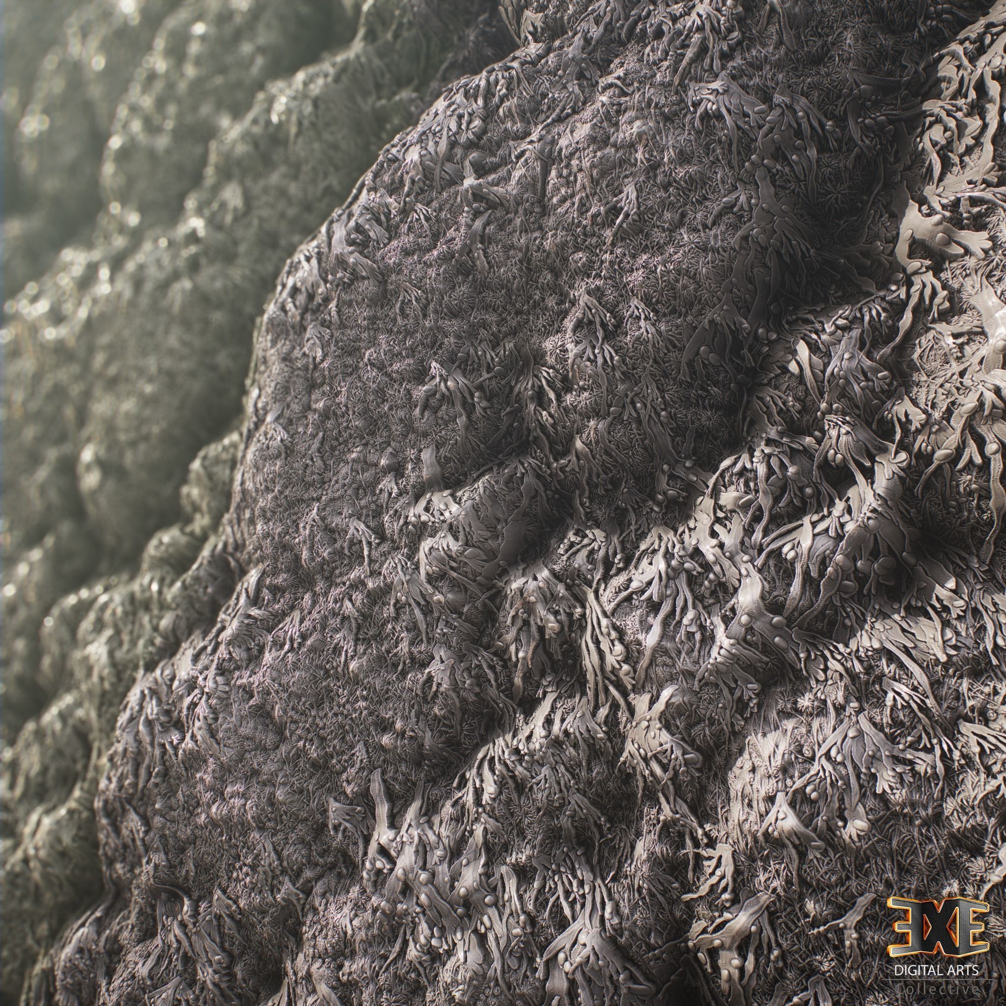Seaweeds On Rock Tileable PBR Material Texture_5