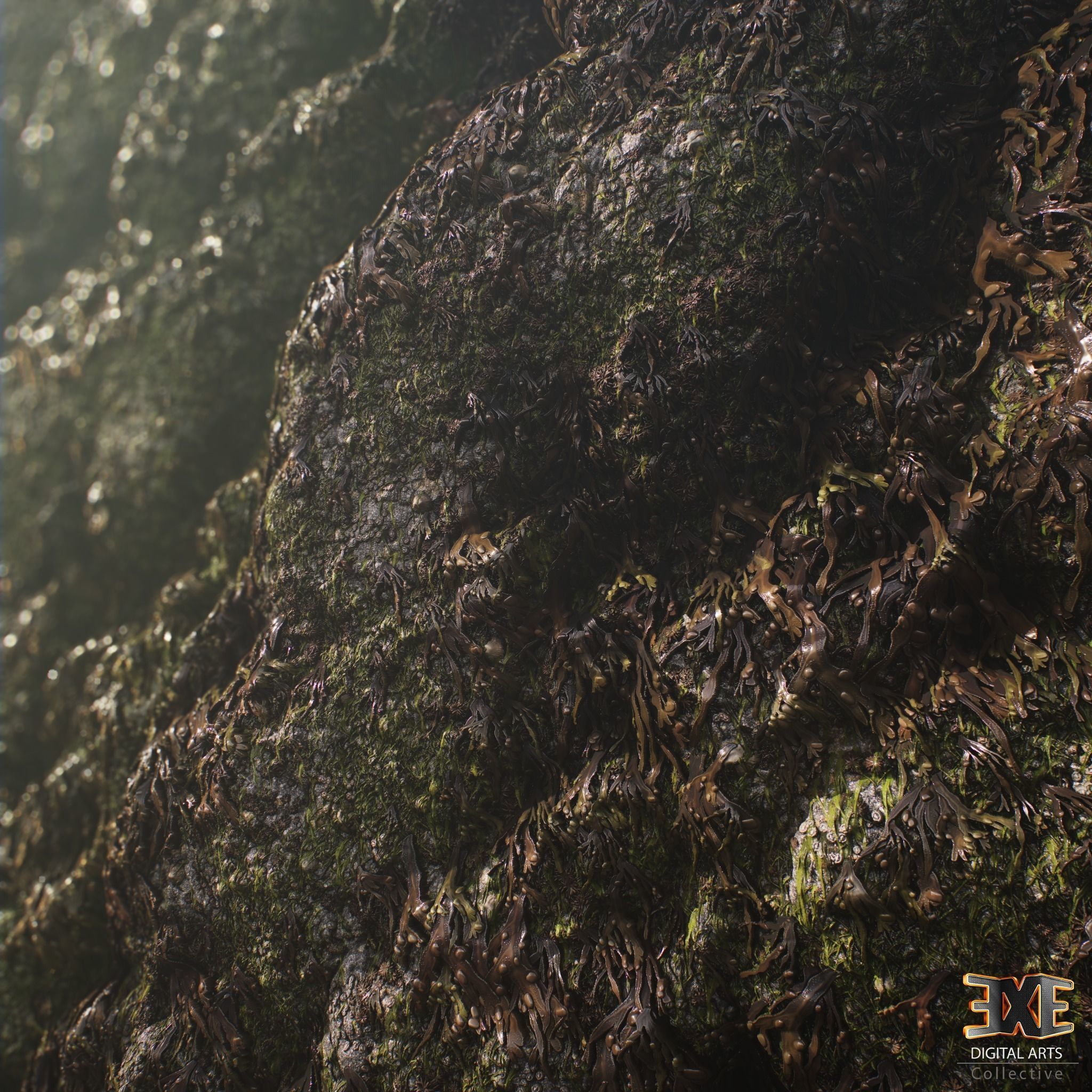 Seaweeds On Rock Tileable PBR Material Texture_2